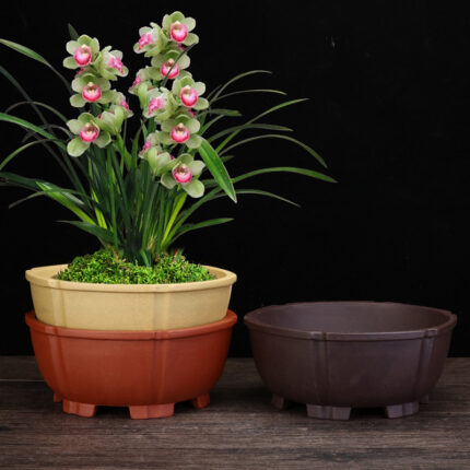 Purple Sand Orchid Pots Household Round Desktop Green Plant Balcony Decoration