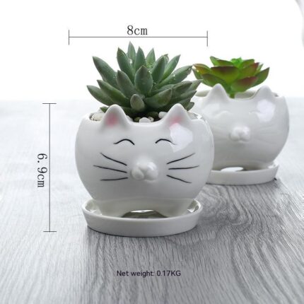 Creative Gardening Balcony Succulent Ceramic Flowerpot Decoration